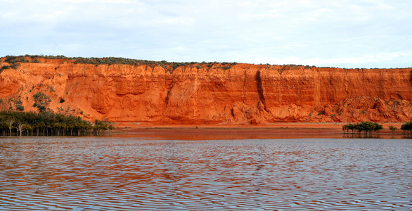 redbanks，端口奥古斯塔 斯宾塞海湾的顶部，南澳大利亚州