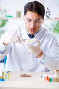 在植物实验室工作的男性生物化学家