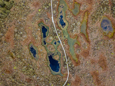 沼泽的区域图片