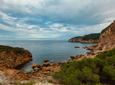 海海湾夏天视图与针叶树在前面。布拉瓦海岸，加泰罗尼亚，西班牙