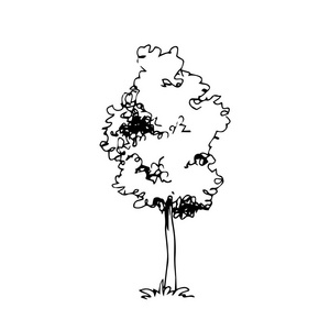 手绘建筑师树, 矢量素描, 建筑插图照片