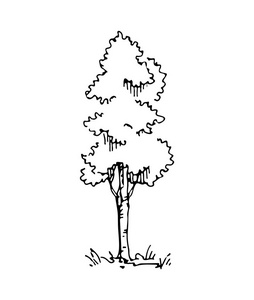 手绘建筑师树, 矢量素描, 建筑插图照片