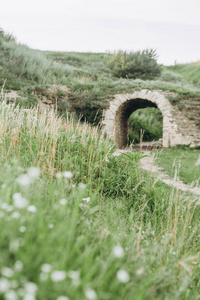 峡谷穿越公路隧道桥拱植物石图片