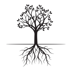 园林植物拆分图像的上方和下方的红树林树的根在礁湖, 甲米, 泰国与水