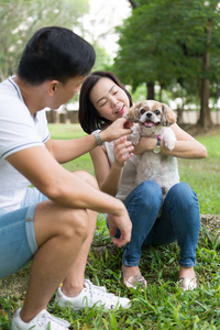 亚洲可爱夫妇与石慈狗