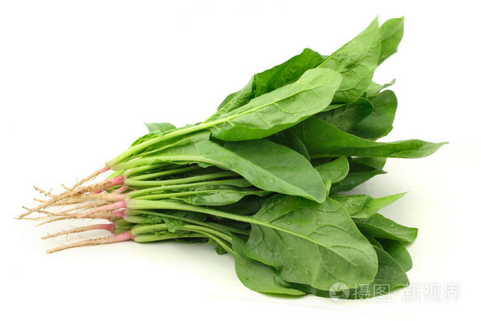 菠菜