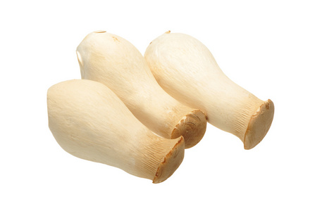 有机杏鲍菇图片