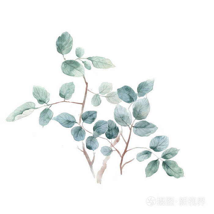 水彩叶子例证水彩叶子例证