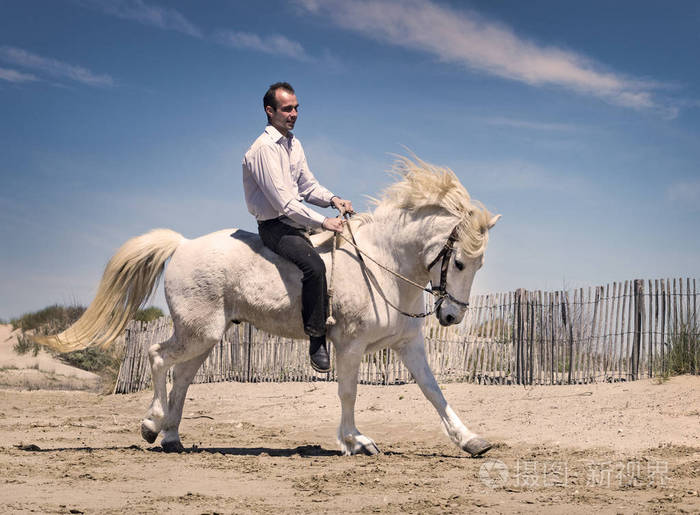 骑马人和他的种马在海滩上