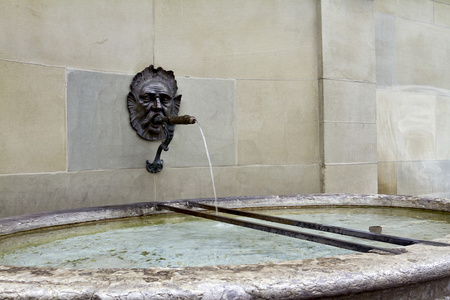 Drinking Fountain at Mnsterplatz, Bern