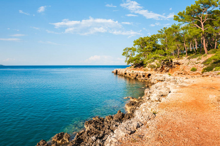 美丽的野生海滩与绿松石水和绿树附近凯梅尔, 土耳其