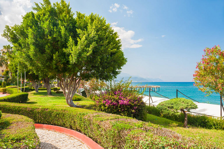美丽的海滨长廊与树木在凯梅尔, 土耳其。夏季景观