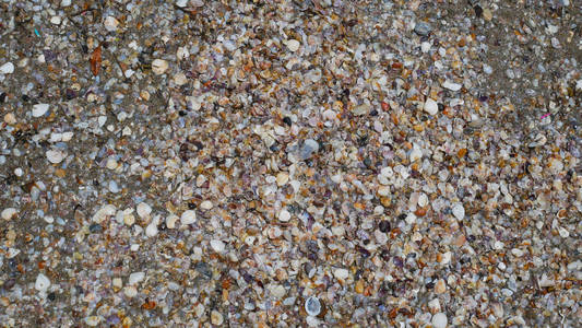 沙滩上的小贝壳堆