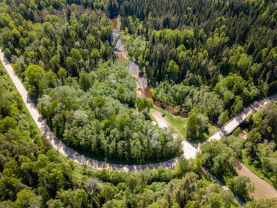 无人机图像。在阳光明媚的日子里, 农村地区有森林公路的鸟瞰图。拉托维亚