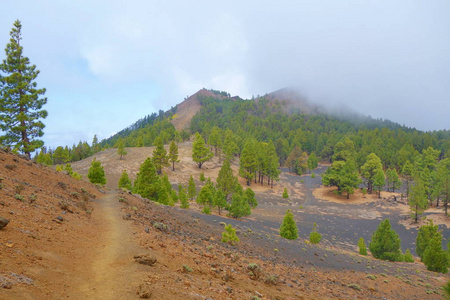西班牙 La 帕尔马岛 Gr131 Ruta Volcanes 徒步旅行小径的景观