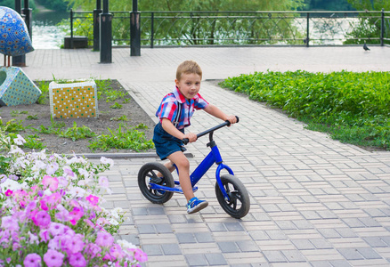 夏天在公园骑自行车的小男孩