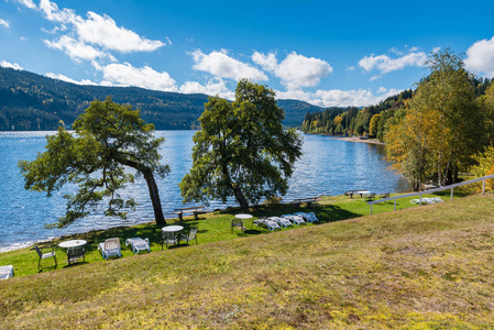 Schluchsee 湖在 blackforest