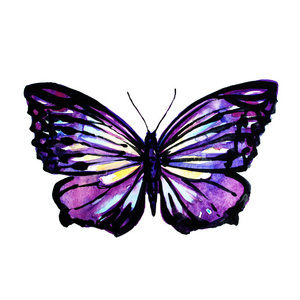 水彩蝴蝶翅膀图片