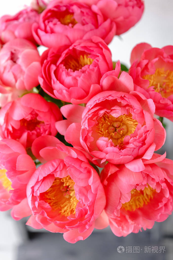 可爱的花在玻璃花瓶里.美丽的牡丹花束, 珊瑚般的魅力.