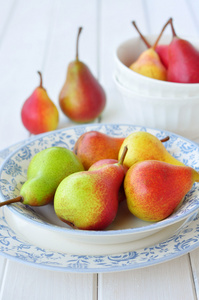 英国梨小苍兰图片