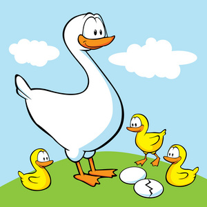 国内雏鹅在白色背景上孤立的小雏鹅国内雏鹅鹅雏可爱的小雏鹅,和父母