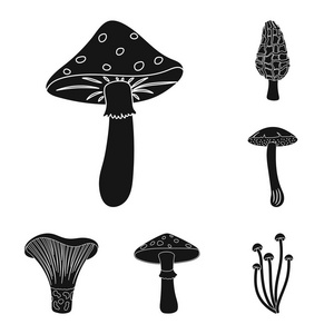 有毒和可食用的蘑菇黑色图标集合中的设计。不同类型的蘑菇矢量符号库存 web 插图