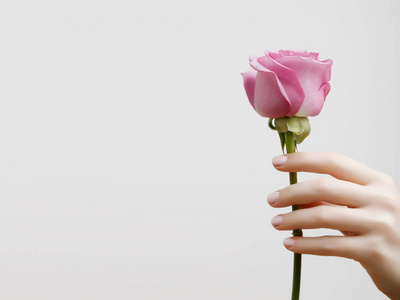 美丽的手指捧着一朵玫瑰粉红色的睡莲或莲花花盛开成功购物销售的提示