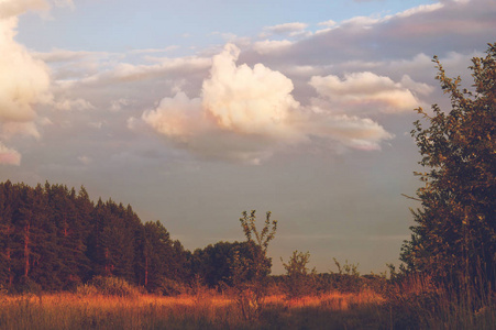 多云的傍晚夏天的天空, 在俄罗斯保留的地方的森林山谷。日落景观