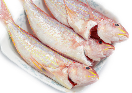 红鲷鱼鱼上孤立的白色背景图片