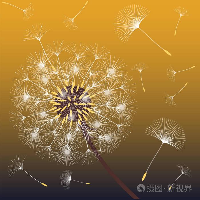 设计蒲公英的抽象背景插画-正版商用图片05hsec-摄图新视界