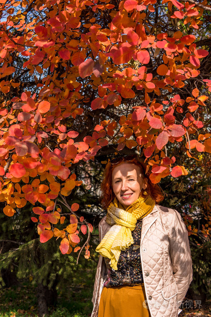 秋天公园的老妇人与色的叶子