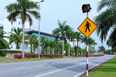 行人过路处标志以红色交通灯空城街与棕榈树和花卉沥青路配有标志直车方式。马来西亚, 塞贝维