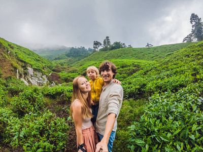 母亲, 父亲和儿子在马来西亚的茶园旅行。儿童旅游概念