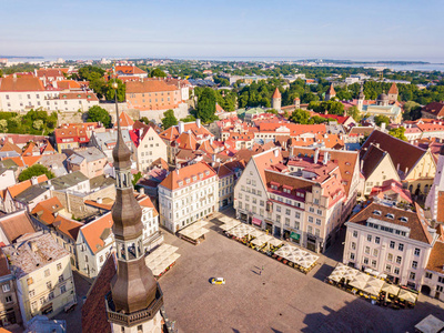 壮观的空中地平线塔林市政厅广场与老市场广场, 爱沙尼亚。在爱沙尼亚美丽的老中世纪小镇