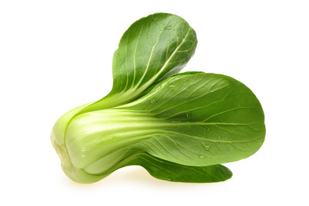 维生素中华图片-维生素中华素材-维生素中华插画-摄图新视界