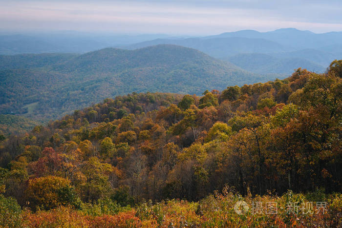 在弗吉尼亚雪碧国家公园的地平线上的蓝色山脊山脉的秋天景色