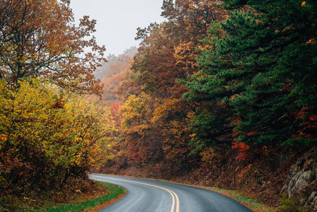 弗吉尼亚蓝色山脊大道上的秋季颜色