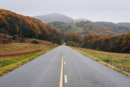 弗吉尼亚阿巴拉契亚山脉蓝色山脊大道上的落叶