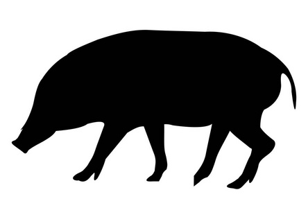 野猪新年贺卡动物图标