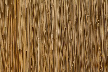 干稻草束作为质地或背景