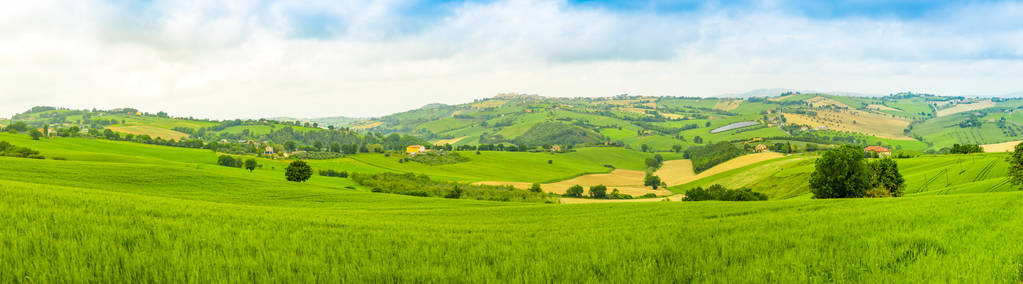 意大利安科纳意大利省夏季田野乡村景观全景