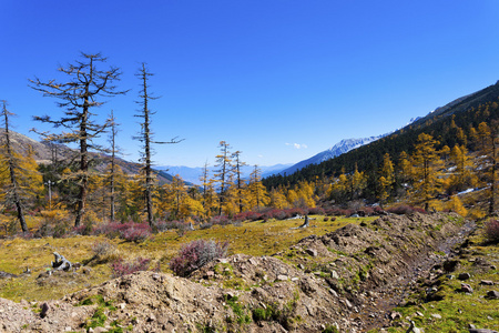 与多彩森林山秋天风景