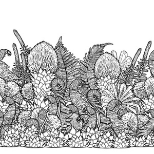 图形史前植物