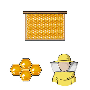 养蜂和养蜂卡通图标集合中的设计。蜂蜜矢量符号库的设备与生产 web 插图