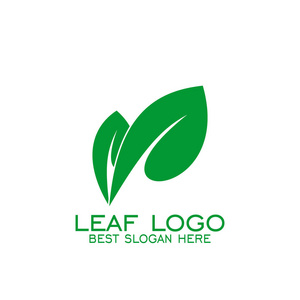 绿色的叶子颜色图片