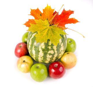 苹果和秋天的树叶西瓜和苹果与秋天的树叶照片