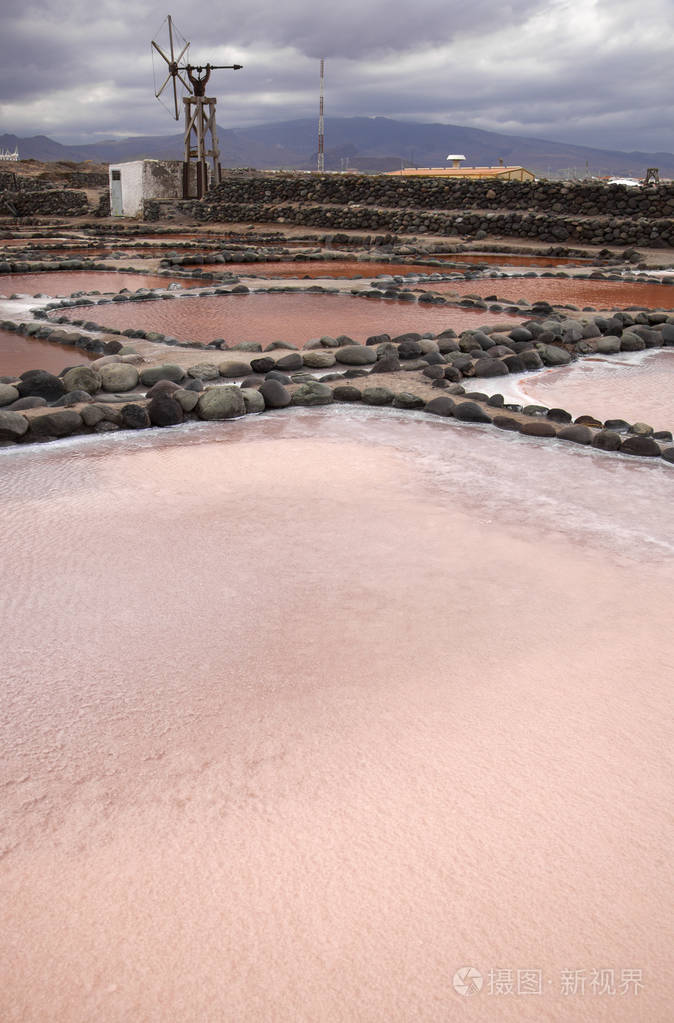 大加那利岛,盐蒸发池萨利纳斯 de tenefe,东南部岛屿,粉红色的颜色