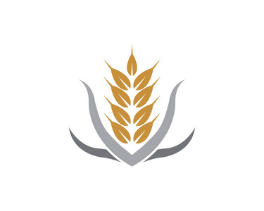 农业小麦标志模板, 健康生活标志矢量图标设计照片