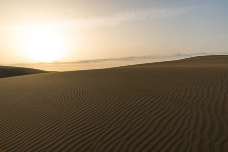 沙漠中的日出美丽的沙丘景观