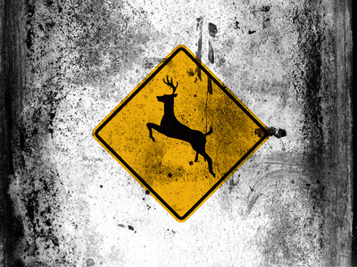 鹿道路标志